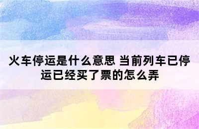 火车停运是什么意思 当前列车已停运已经买了票的怎么弄